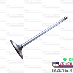 Juego de Válvulas de Admisión para FIAT MOTOR 1.4